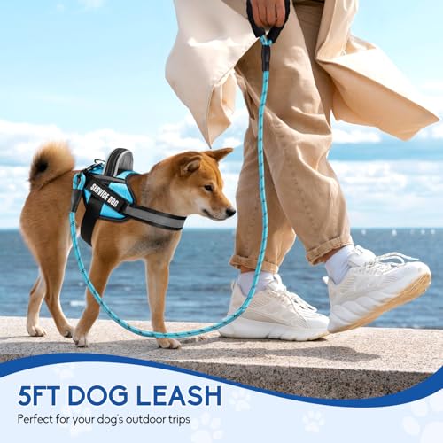 Animire Service Dog Vest Harness and Leash Set with 10 Patches, Reflective, Light Blue XS