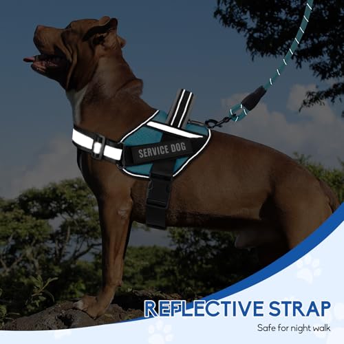 Animire Service Dog Vest Harness and Leash Set with 10 Patches, Reflective, Light Blue XS