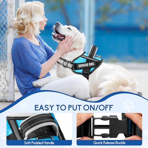 Animire Service Dog Vest Harness & Leash Set – Light Blue, Size S with 10 Patches
