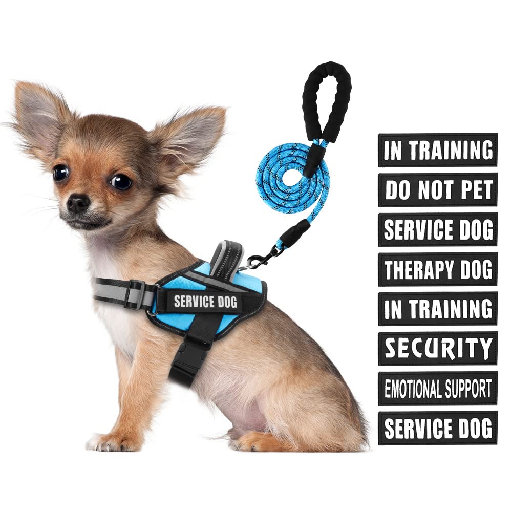 Animire Service Dog Vest Harness & Leash Set – Light Blue, Size S with 10 Patches