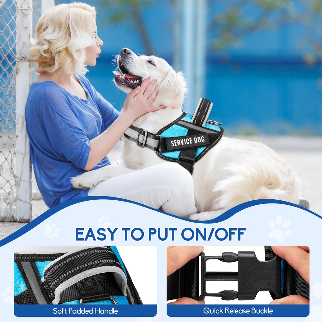 Animire Service Dog Vest Harness & Leash Set – Light Blue, Size S with 10 Patches