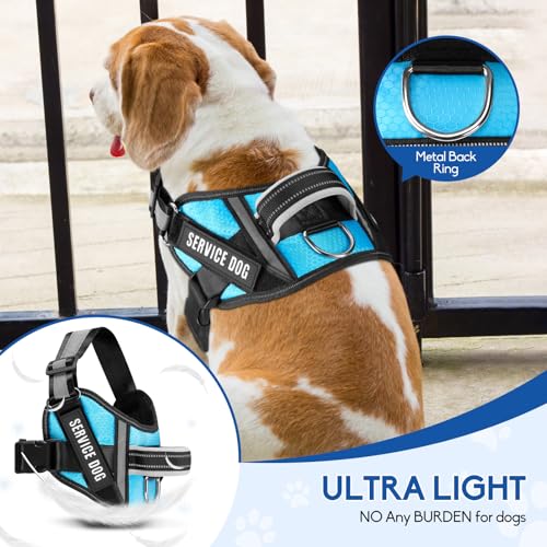 Animire Service Dog Vest Harness & Leash Set – Light Blue, Size S with 10 Patches