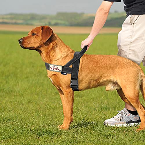 Annchwool No Pull Dog Harness Size S (Black) – Padded, Reflective, with Two Rings & Patches
