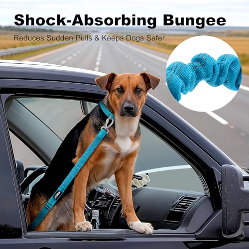 APAKBAK Dog Seat Belt for Car - Adjustable with Locking Hook & Reflective Strap, Light Blue