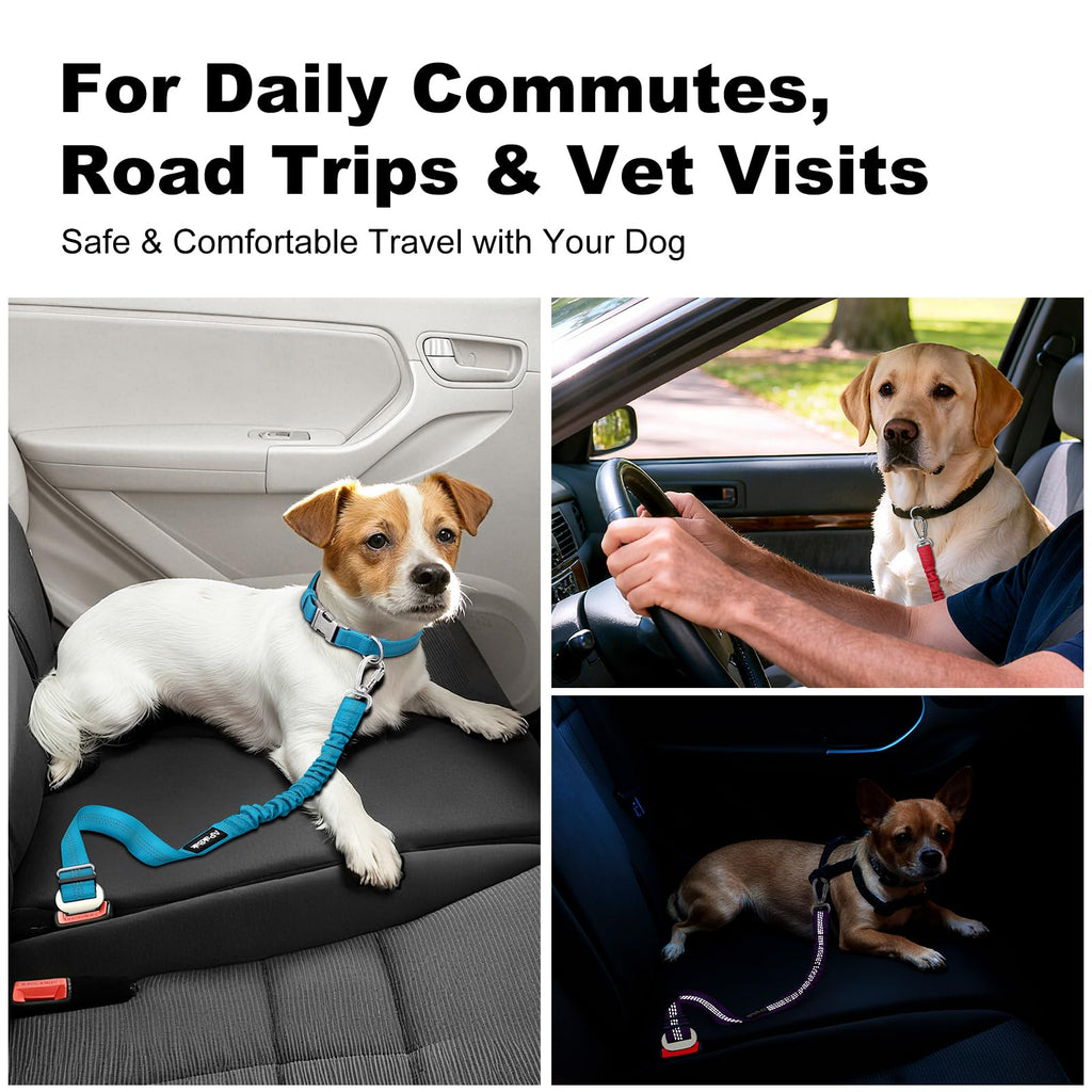 APAKBAK Dog Seat Belt for Car - Adjustable with Locking Hook & Reflective Strap, Light Blue