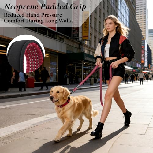 APAKBAK Double Handle Dog Leash 6ft Reflective - Padded Neoprene Grip, Heavy Duty Nylon, Traffic Lead for Training & Walking (Red)