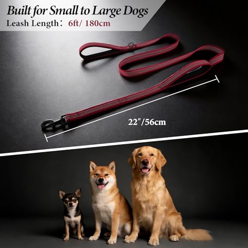 APAKBAK Double Handle Dog Leash 6ft Reflective - Padded Neoprene Grip, Heavy Duty Nylon, Traffic Lead for Training & Walking (Red)