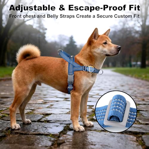 APAKBAK No Pull Dog Harness Blue Size S – Soft Mesh Padded Reflective with Handle & Front Clip for Small Dogs
