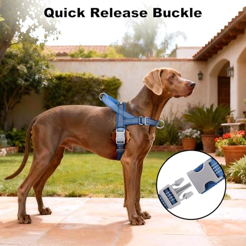 APAKBAK No Pull Dog Harness Blue Size S – Soft Mesh Padded Reflective with Handle & Front Clip for Small Dogs