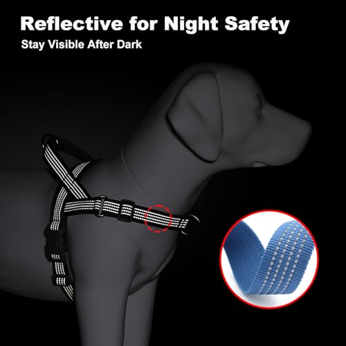APAKBAK No Pull Dog Harness Blue Size S – Soft Mesh Padded Reflective with Handle & Front Clip for Small Dogs