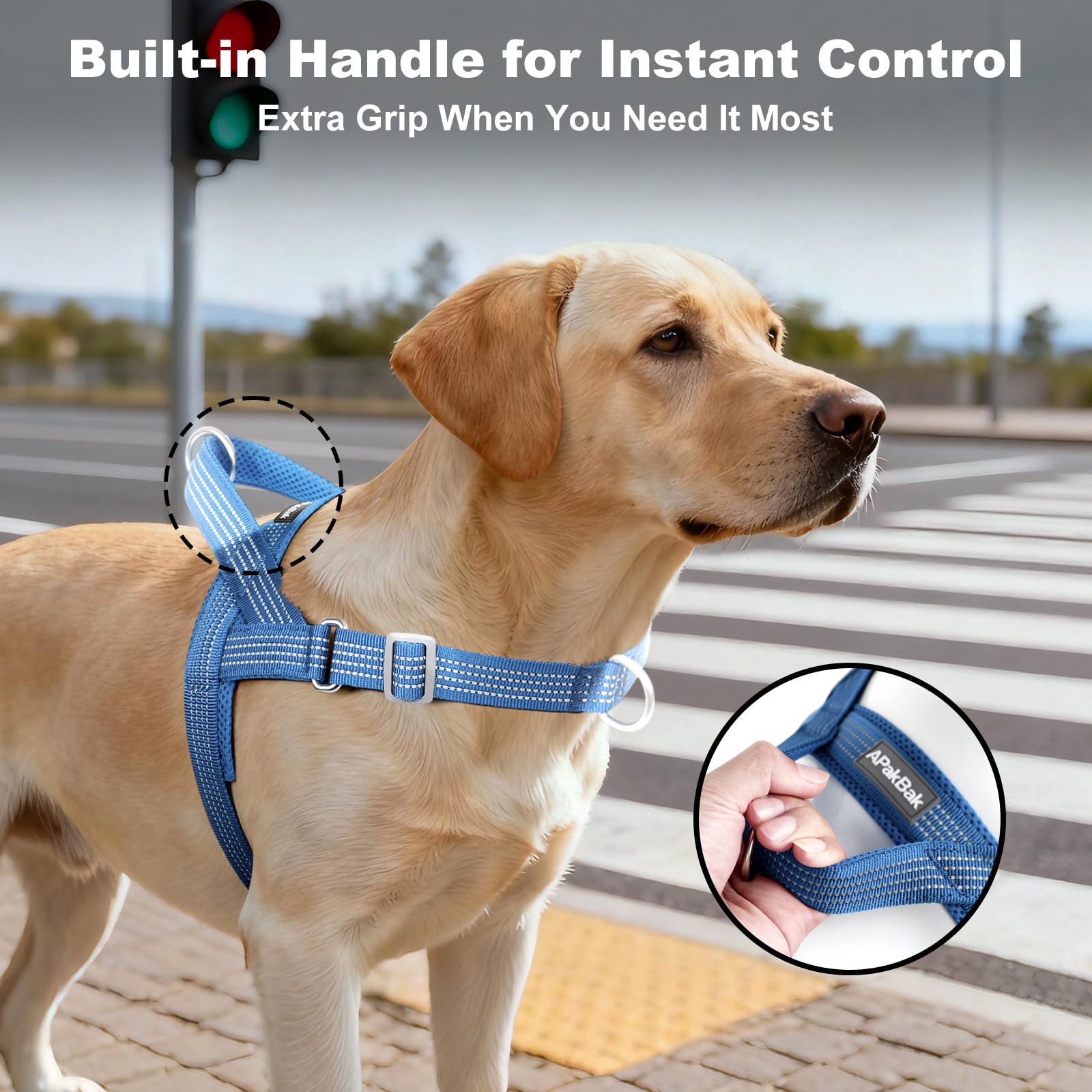 APAKBAK No Pull Dog Harness Blue Size S – Soft Mesh Padded Reflective with Handle & Front Clip for Small Dogs