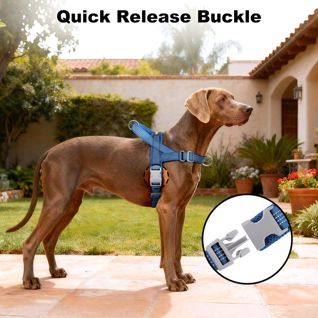 APAKBAK No Pull Dog Harness Blue Size S – Soft Mesh Padded Reflective with Handle & Front Clip for Small Dogs