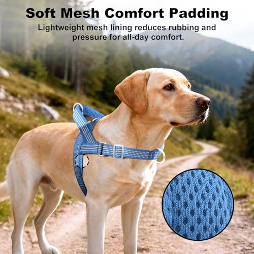 APAKBAK No Pull Dog Harness with Handle – Blue XL, Reflective, Adjustable Mesh Front Clip Harness for Training & Hiking