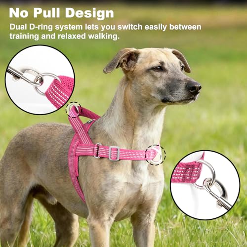 APAKBAK No Pull Dog Harness with Handle – Reflective, Adjustable, Front Clip for Training and Walking (Pink, L)