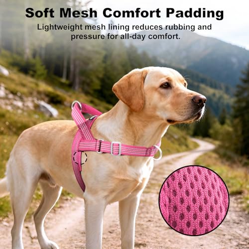APAKBAK No Pull Dog Harness with Handle – Reflective, Adjustable, Front Clip for Training and Walking (Pink, L)