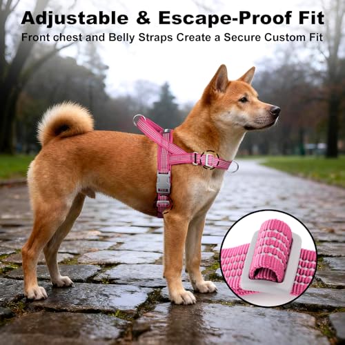 APAKBAK No Pull Dog Harness with Handle – Reflective, Adjustable, Front Clip for Training and Walking (Pink, L)