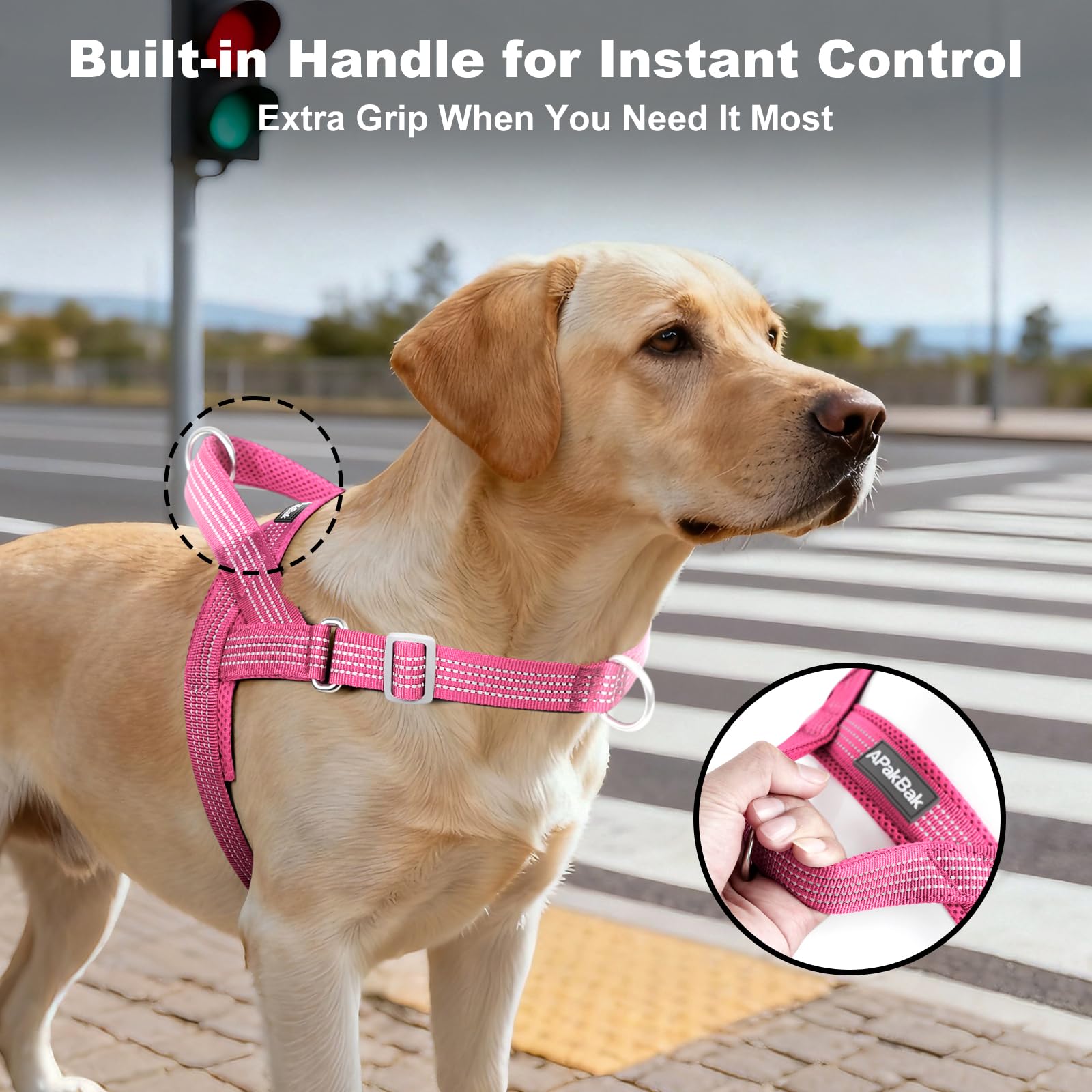APAKBAK No Pull Dog Harness with Handle – Reflective, Adjustable, Front Clip for Training and Walking (Pink, L)