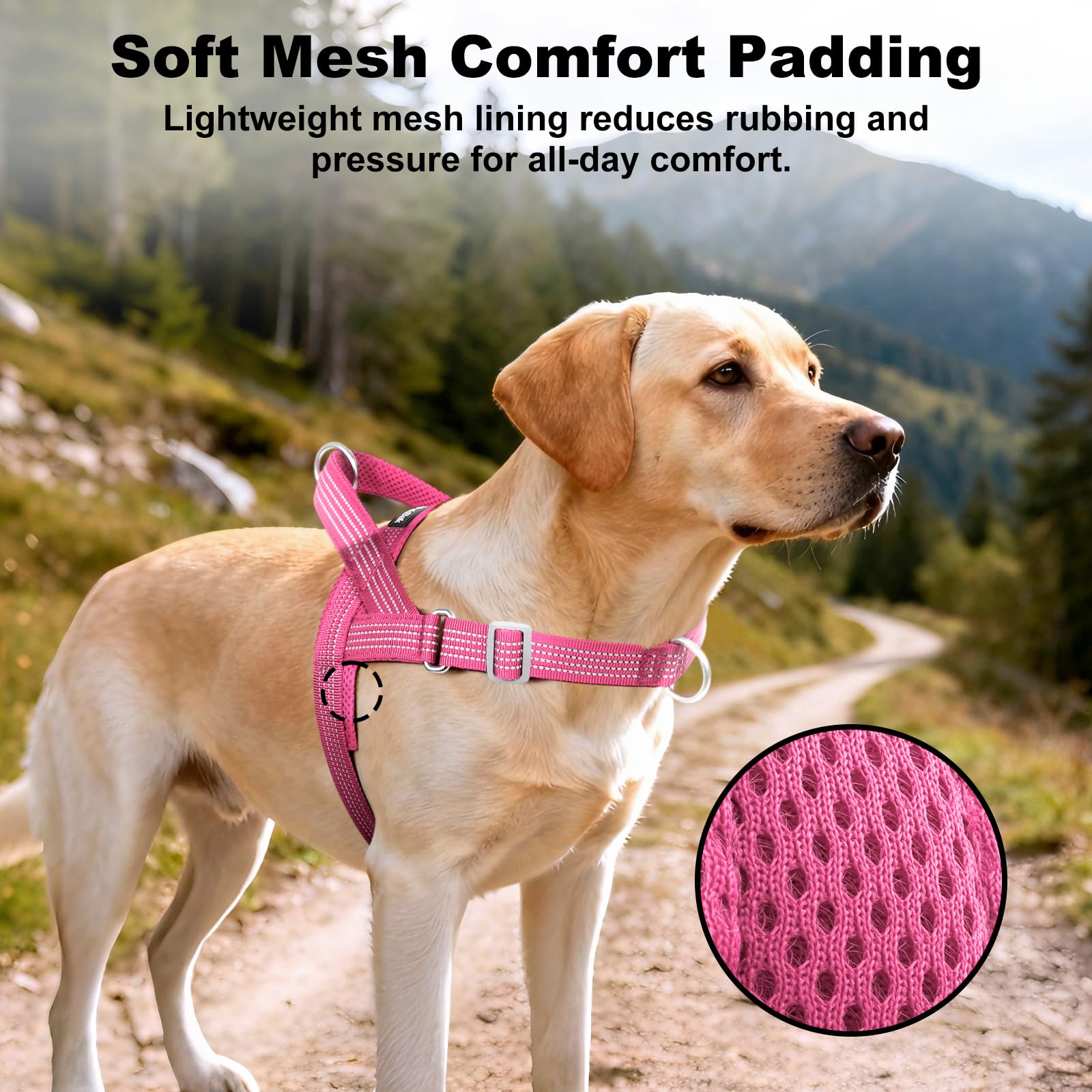 APAKBAK No Pull Dog Harness with Handle – Reflective, Adjustable, Front Clip for Training and Walking (Pink, L)
