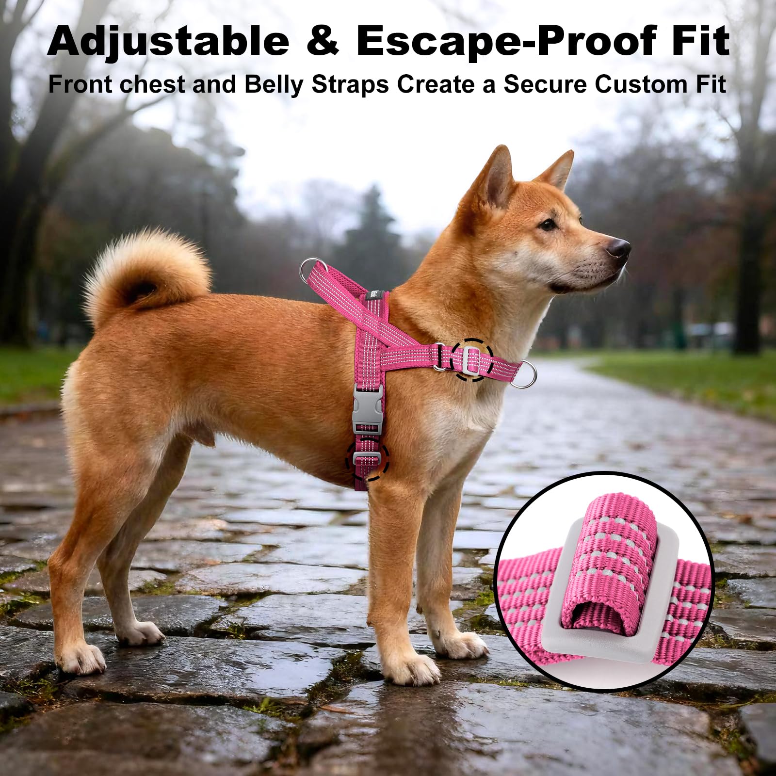 APAKBAK No Pull Dog Harness with Handle – Reflective, Adjustable, Front Clip for Training and Walking (Pink, L)