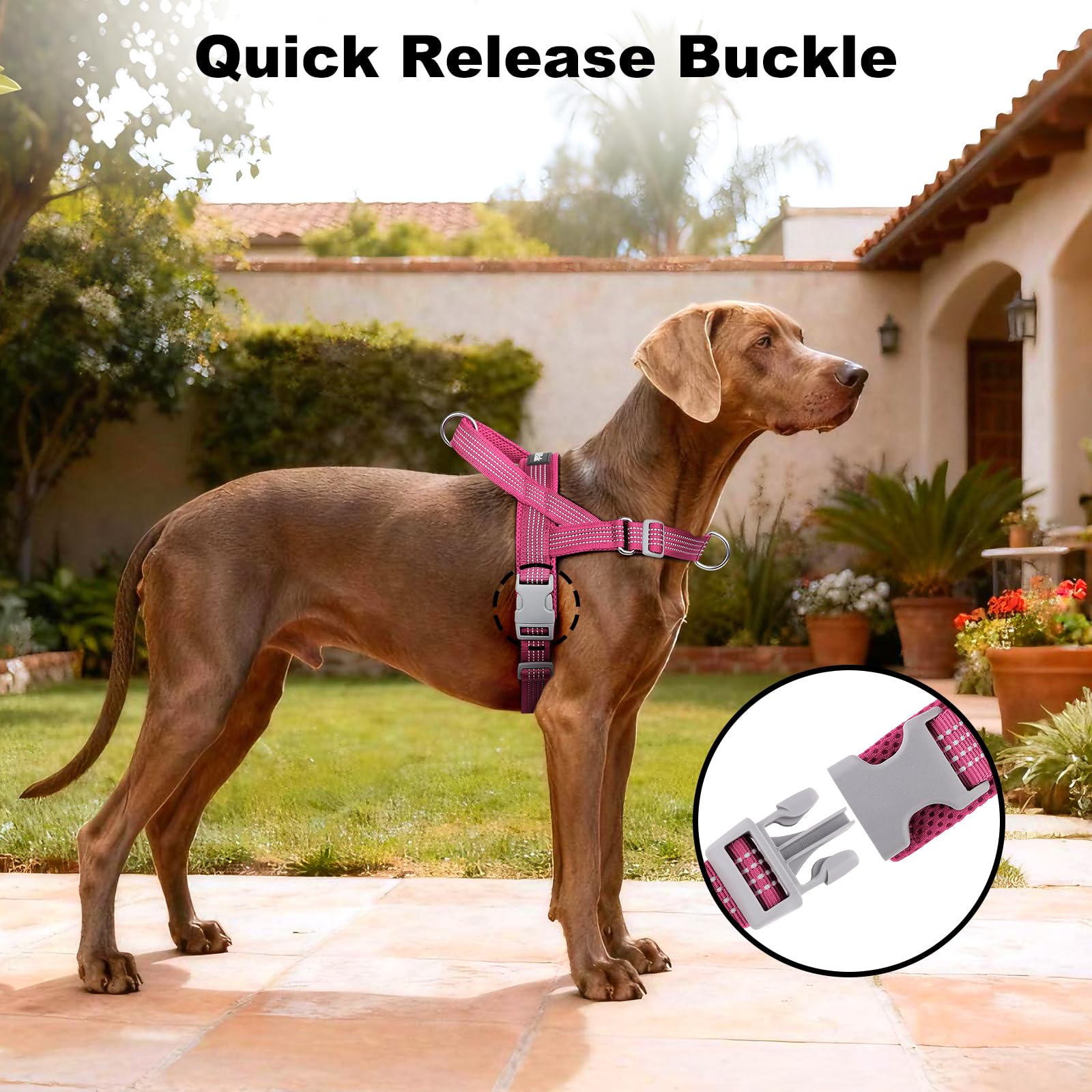 APAKBAK No Pull Dog Harness with Handle – Reflective, Adjustable, Front Clip for Training and Walking (Pink, L)