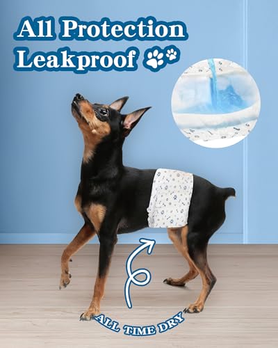 Apupmeo Medium Male Dog Diapers - Disposable Belly Bands, Super Absorbent, Leak-Proof, 20 Count