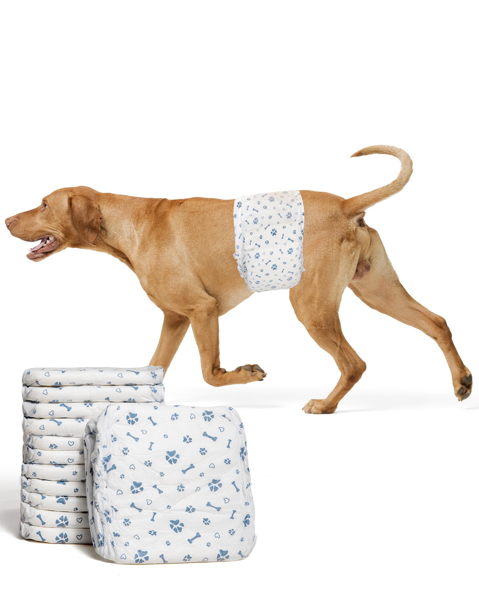 Apupmeo Medium Male Dog Diapers - Disposable Belly Bands, Super Absorbent, Leak-Proof, 20 Count