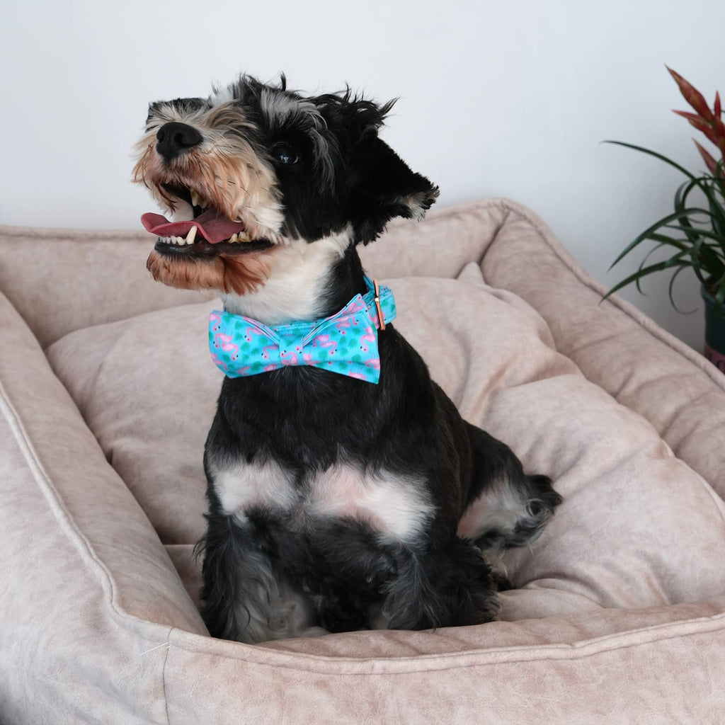 ARING PET Flamingo Dog Collar – Cotton Collar with Bow Tie, Adjustable Summer Bowtie for Small to Large Dogs