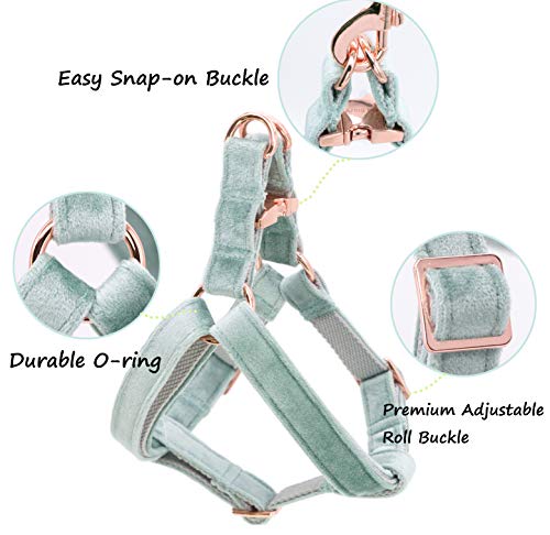 ARING PET Velvet Dog Halter Harness X-Small - No-Pull Adjustable Harness for Small Dogs