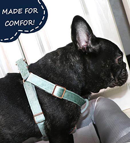 ARING PET Velvet Dog Halter Harness X-Small - No-Pull Adjustable Harness for Small Dogs