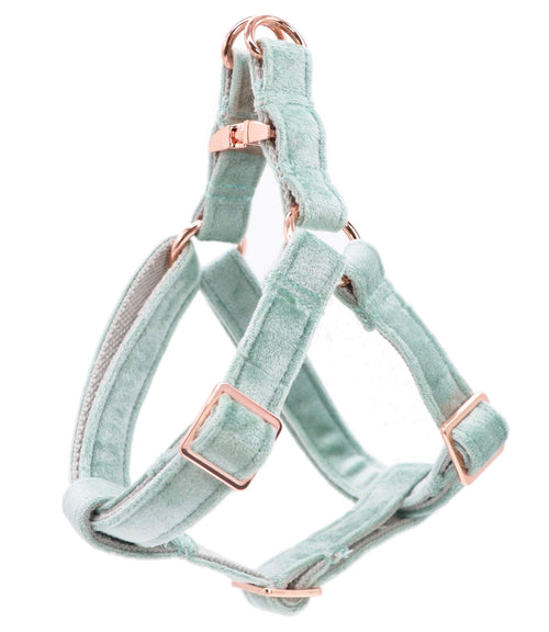 ARING PET Velvet Dog Halter Harness X-Small - No-Pull Adjustable Harness for Small Dogs