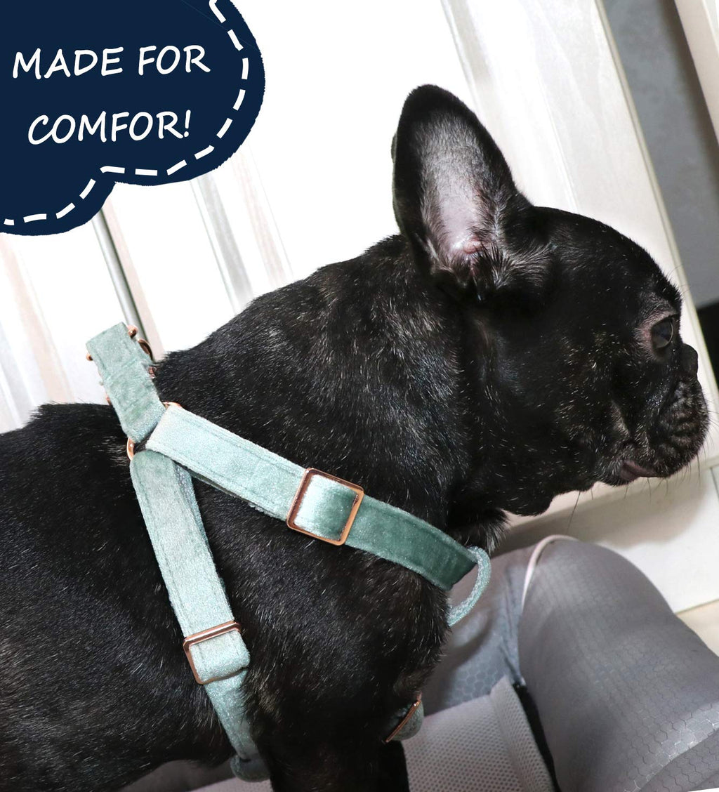 ARING PET Velvet Dog Halter Harness X-Small - No-Pull Adjustable Harness for Small Dogs
