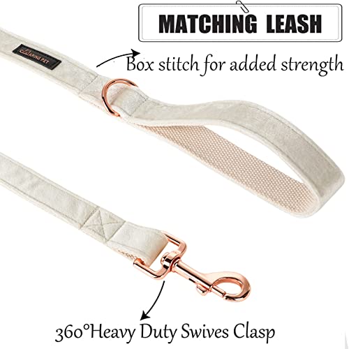 ARING PET White Velvet Dog Leash – Soft, Durable, Handmade Leash for Small to Large Dogs (Size M, 5ft)