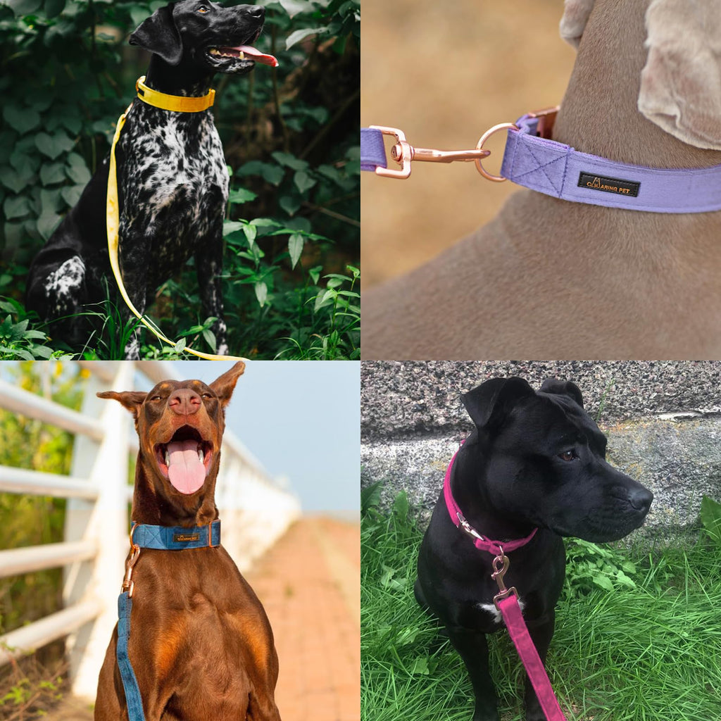 ARING PET White Velvet Dog Leash – Soft, Durable, Handmade Leash for Small to Large Dogs (Size M, 5ft)
