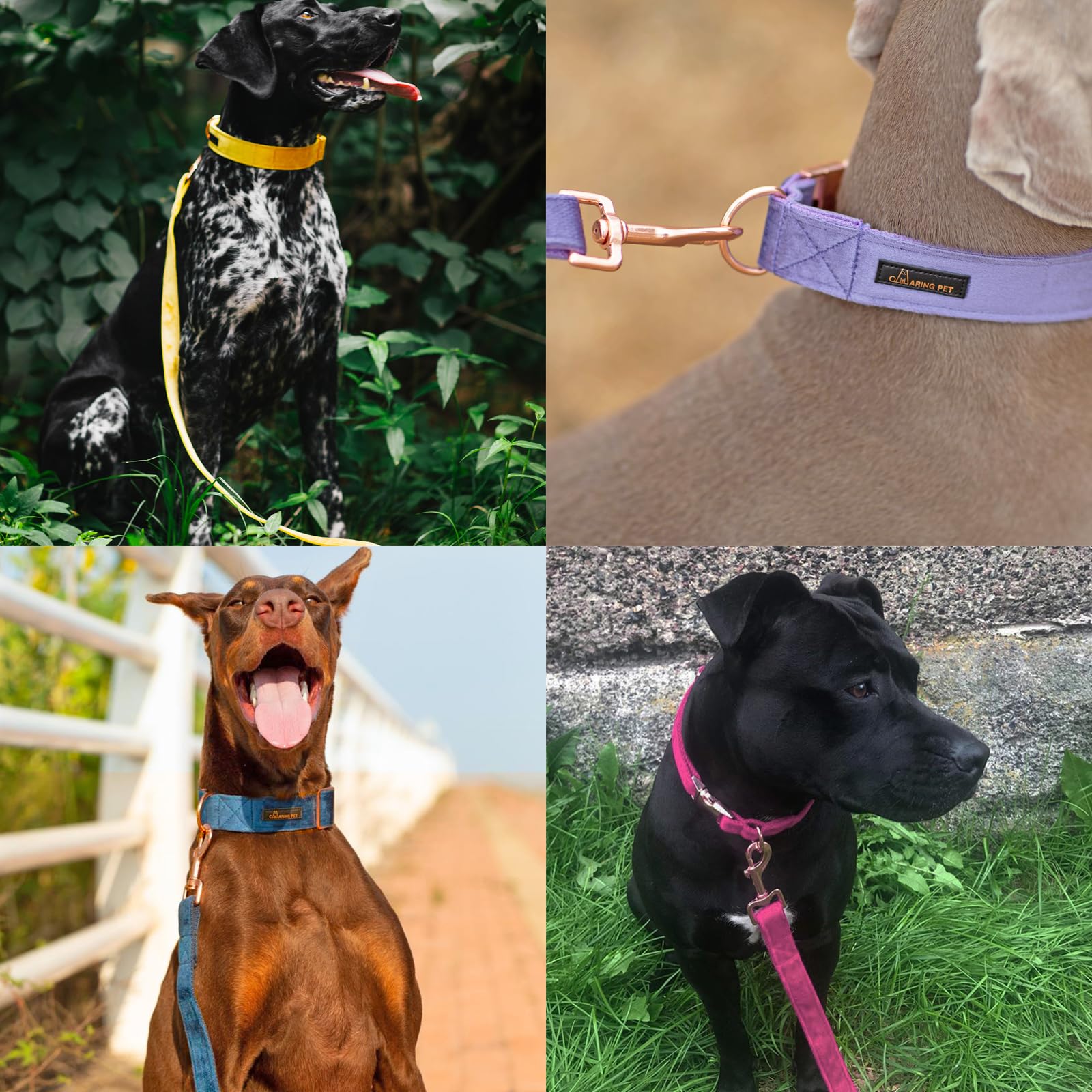 ARING PET White Velvet Dog Leash – Soft, Durable, Handmade Leash for Small to Large Dogs (Size M, 5ft)