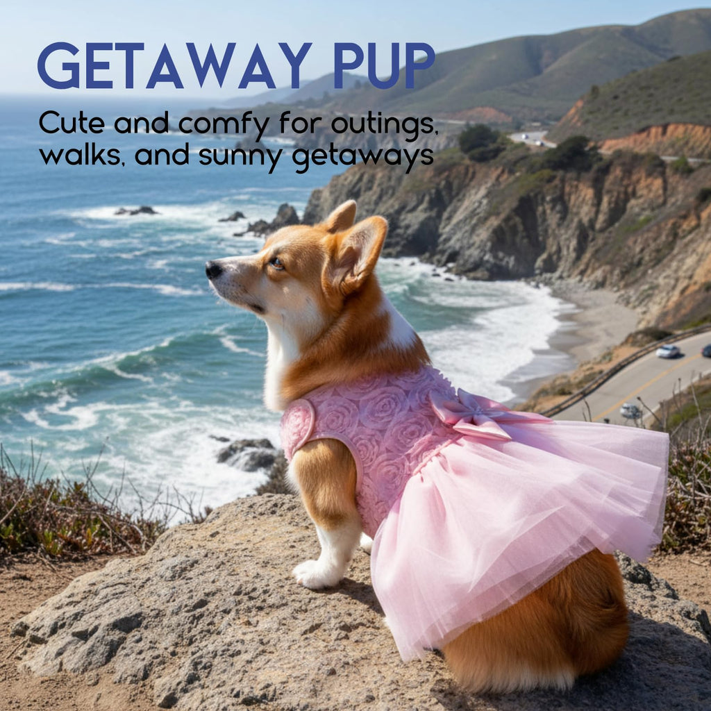 ASENKU Pink Lace Dog Dress with Pearl and Bow - XS for Small/Medium Pets