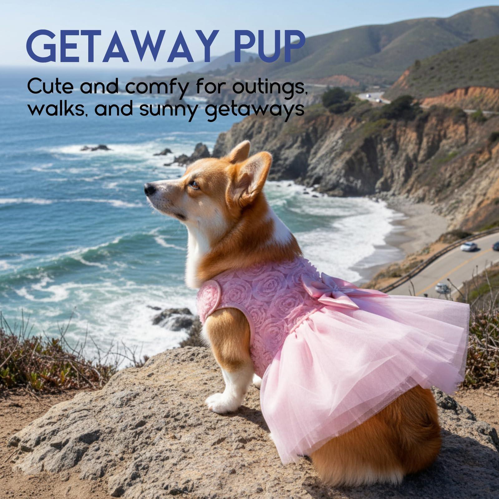 ASENKU Pink Lace Dog Dress with Pearl and Bow - XS for Small/Medium Pets