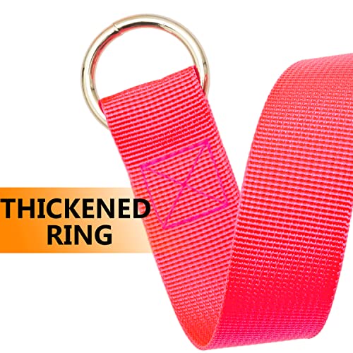 ATICNECH 10-Pack Slip Lead Dog Leash – 6FT Nylon Training Leashes with Metal O-Ring for Small to Large Dogs, Puppies, Cats, Rescue, Grooming