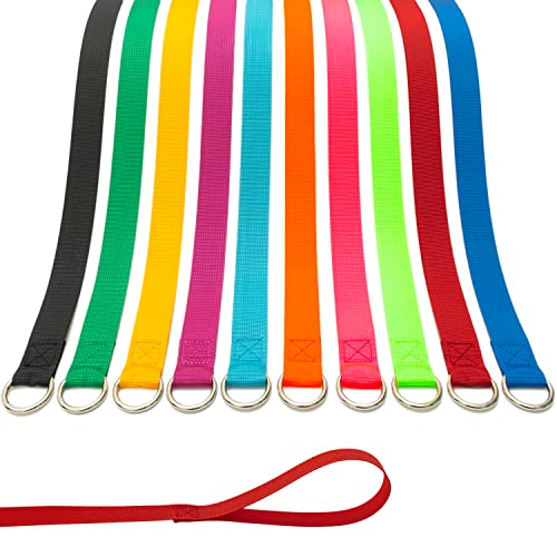 ATICNECH 10-Pack Slip Lead Dog Leash – 6FT Nylon Training Leashes with Metal O-Ring for Small to Large Dogs, Puppies, Cats, Rescue, Grooming