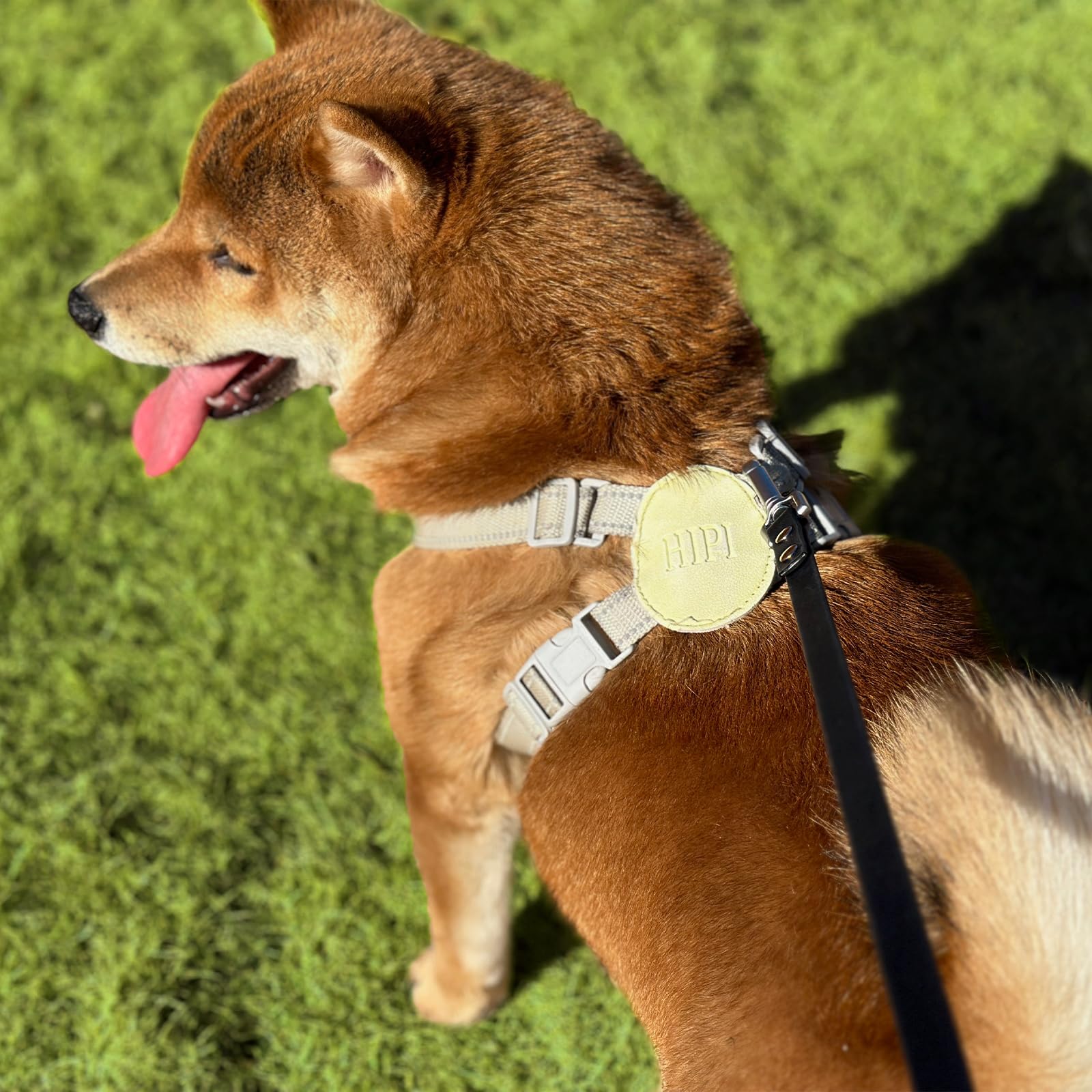 AUMAILI 30ft Dog Training Long Leash - Waterproof, Heavy Duty, Recall Lead for Outdoor Use - Black