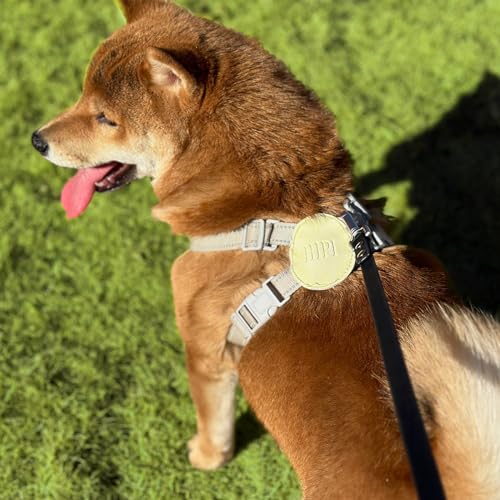 AUMAILI 30ft Dog Training Long Leash - Waterproof, Heavy Duty, Recall Lead for Outdoor Use - Black