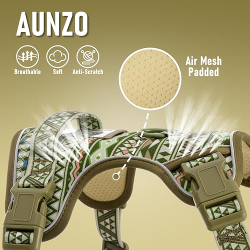 AUNZO Small Dog Harness - No-Pull Vest with 2 Leash Clips, Reflective, Adjustable, Soft Padded, Green Ethnic, for Small Breeds like Pug, Beagle