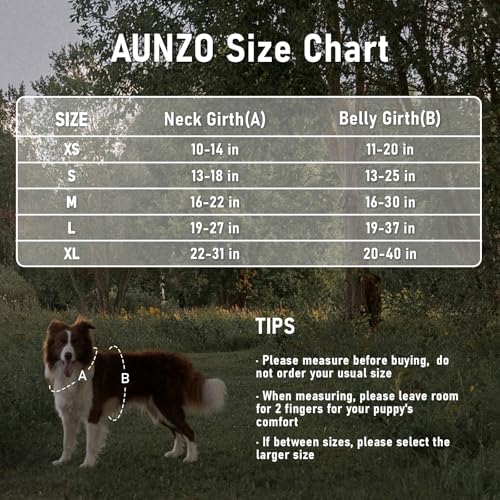 AUNZO Small Dog Harness - No-Pull Vest with 2 Leash Clips, Reflective, Adjustable, Soft Padded, Green Ethnic, for Small Breeds like Pug, Beagle