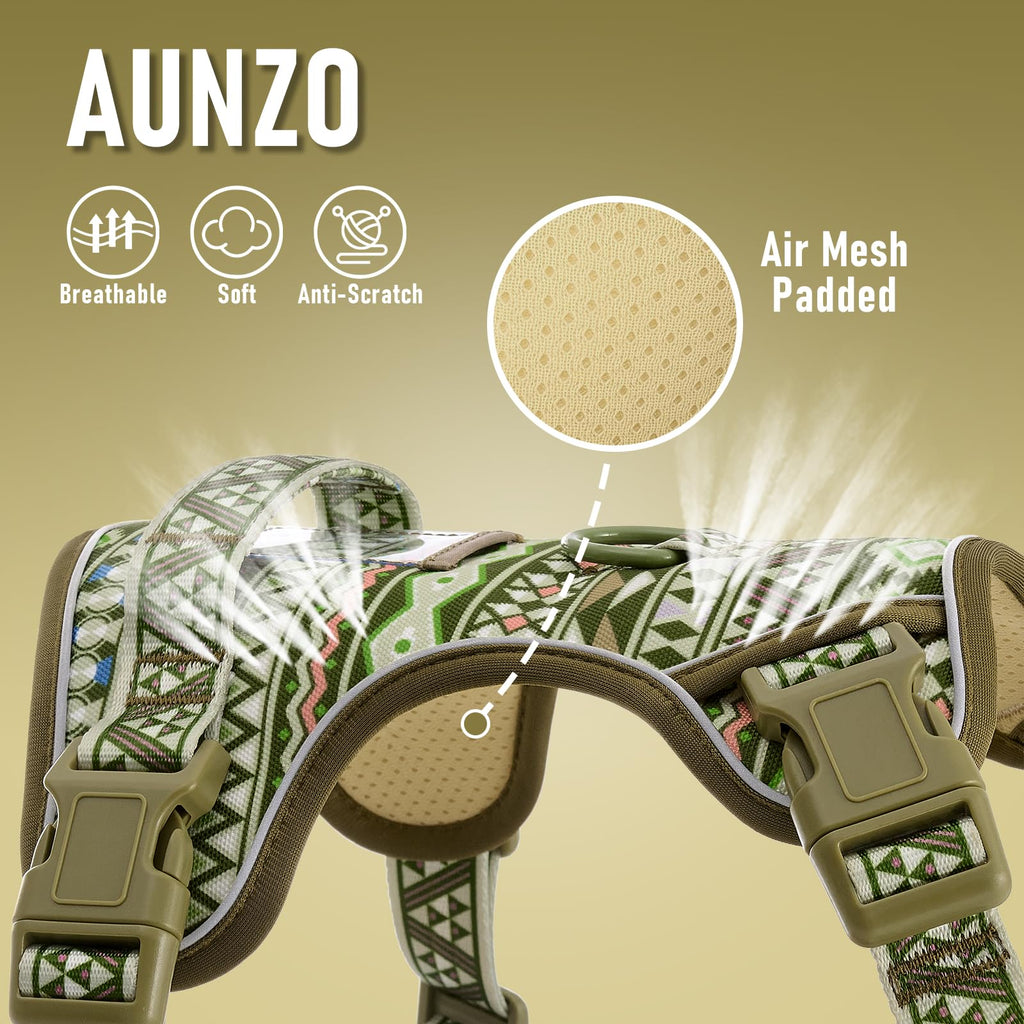 AUNZO Small Dog Harness - No-Pull Vest with 2 Leash Clips, Reflective, Adjustable, Soft Padded, Green Ethnic, for Small Breeds like Pug, Beagle