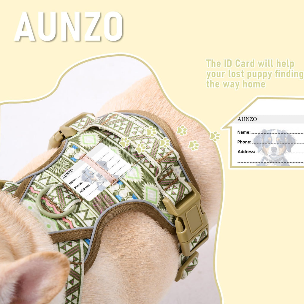 AUNZO Small Dog Harness - No-Pull Vest with 2 Leash Clips, Reflective, Adjustable, Soft Padded, Green Ethnic, for Small Breeds like Pug, Beagle