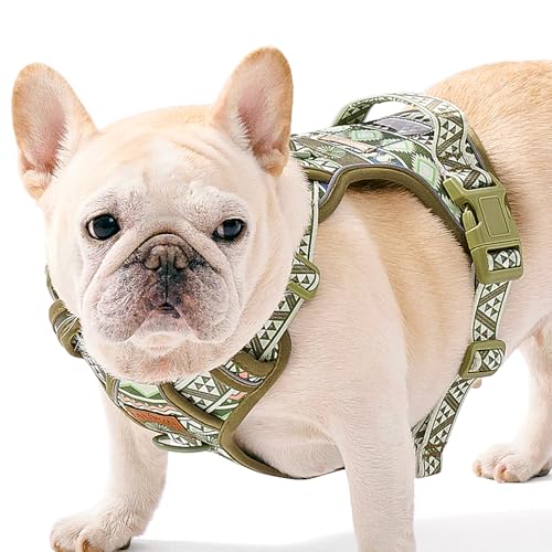 AUNZO Small Dog Harness - No-Pull Vest with 2 Leash Clips, Reflective, Adjustable, Soft Padded, Green Ethnic, for Small Breeds like Pug, Beagle