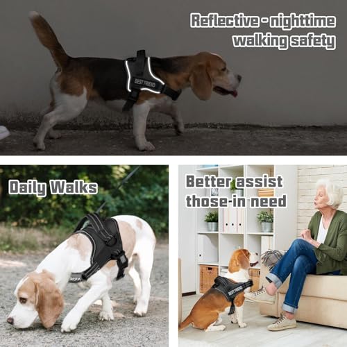 AUROTH No Pull Dog Harness and Leash Set – Reflective, Adjustable, Easy On/Off, Medium, Black