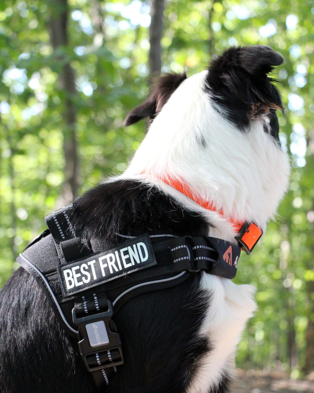 AUROTH No Pull Dog Harness and Leash Set – Reflective, Adjustable, Easy On/Off, Medium, Black