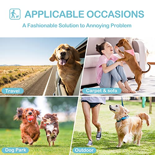 Avont 3 Pack Washable Female Dog Diapers, Reusable Period Diapers for Heat Cycle & Incontinence – Red/Blue/White, Size M