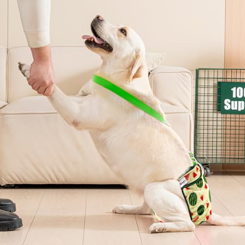 Avont 3-Pack Washable Female Dog Diapers with Suspenders - Adjustable, Leakproof, Reusable for Small Dogs (Size S, Yellow/Pink/Green)