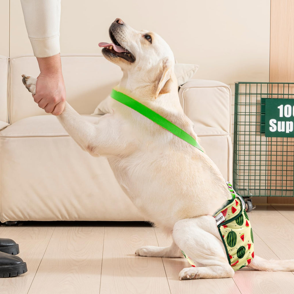 Avont 3-Pack Washable Female Dog Diapers with Suspenders - Adjustable, Leakproof, Reusable for Small Dogs (Size S, Yellow/Pink/Green)